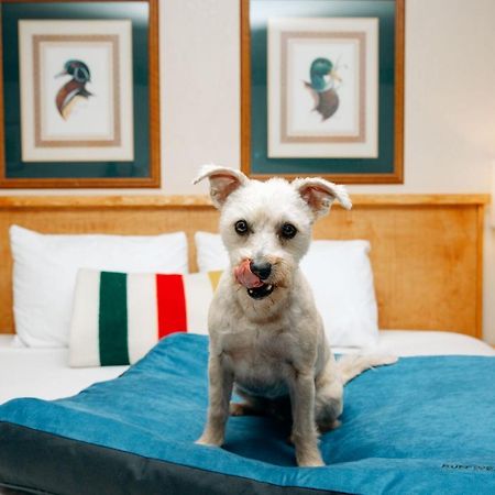 Timbers Motel Бигфорк Экстерьер фото